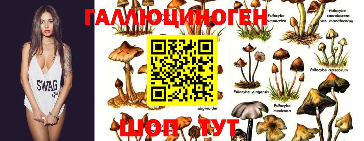 Галлюциногенные грибы Cubensis Ханты-Мансийск