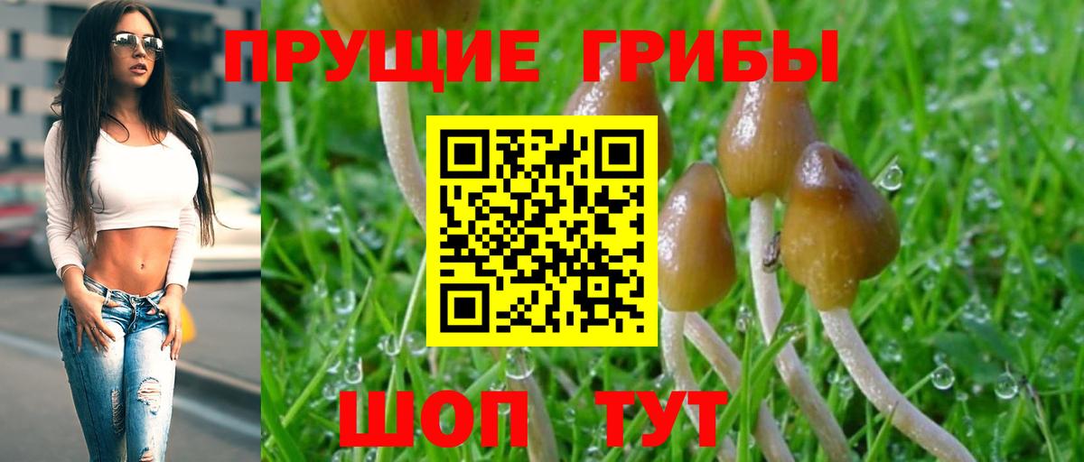 купить наркотики сайты  Галлюциногенные грибы Psilocybine cubensis  Вход с VPN  Ханты-Мансийск 